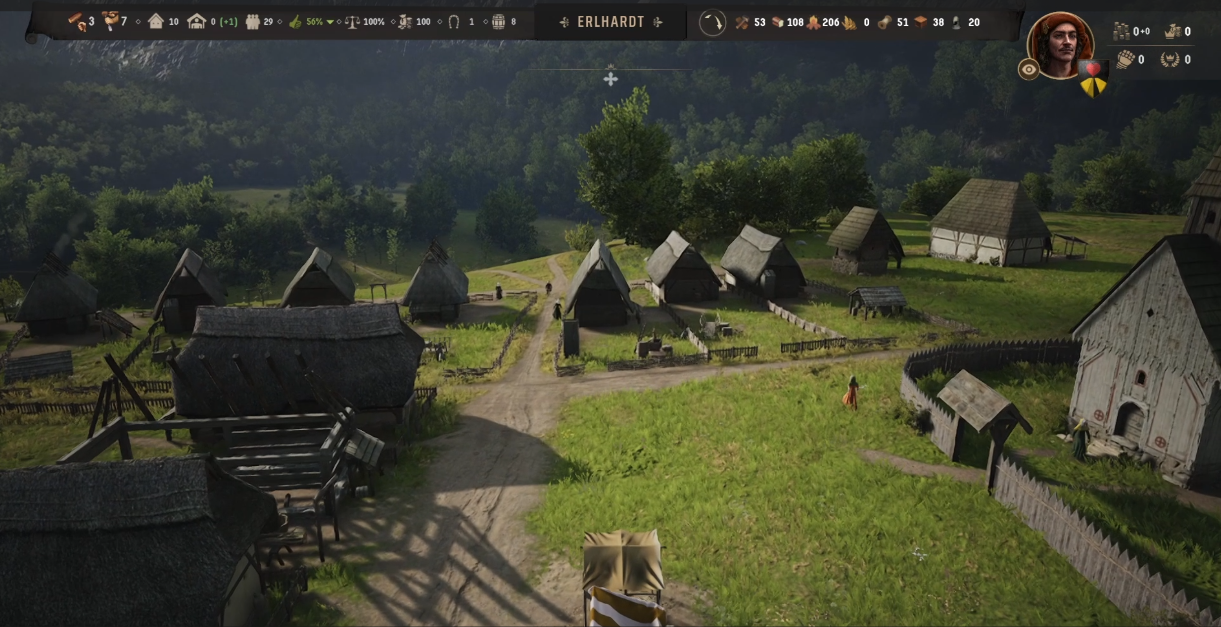 Manor Lords town view